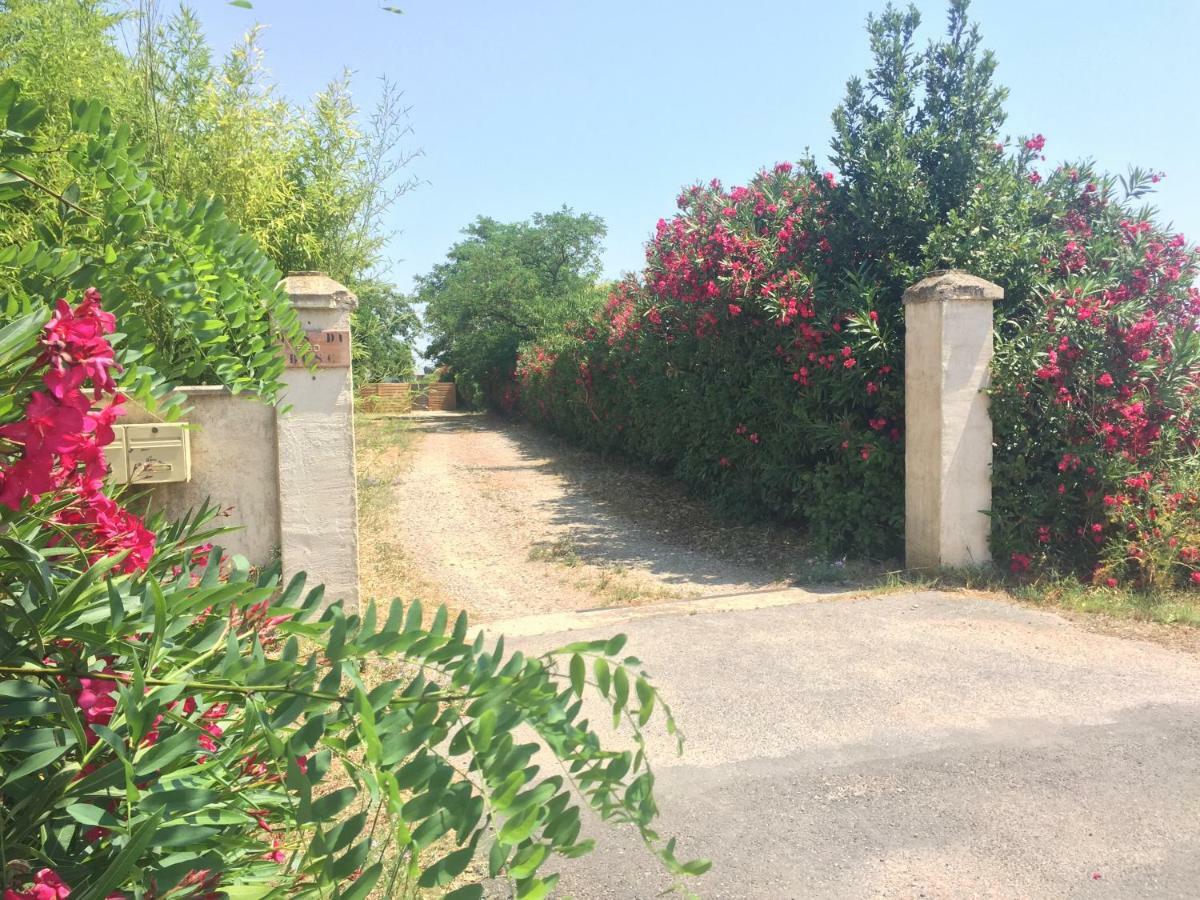 Le Mas Du Bosc Apartamento Mauguio Exterior foto